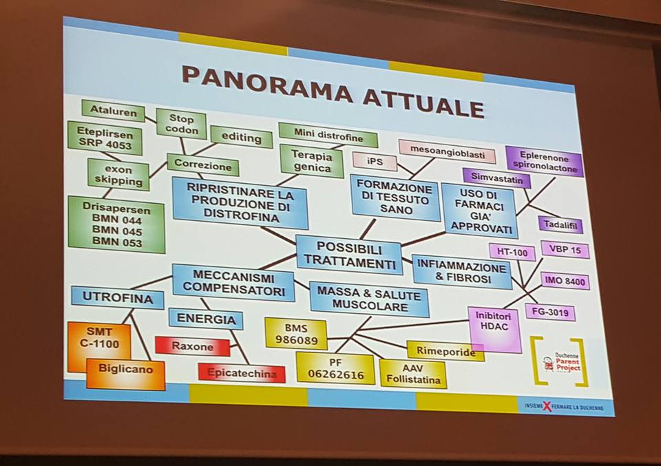 Conferința de la Roma 2016 – Distrofia Duchenne: unitatea este puterea